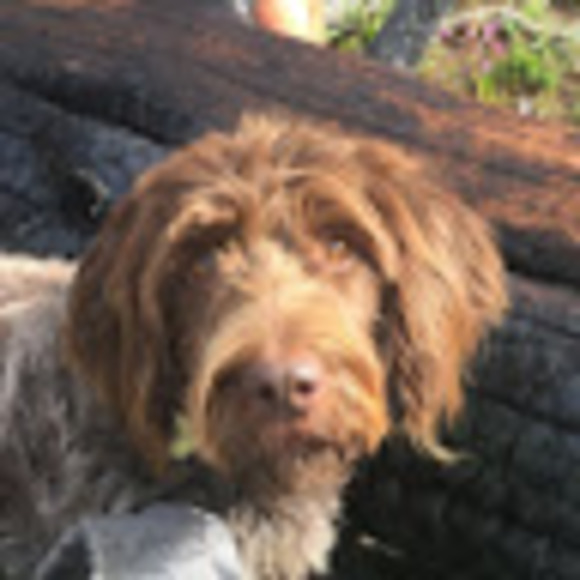 Meet your Posher, Lean - Picture 1 of 1